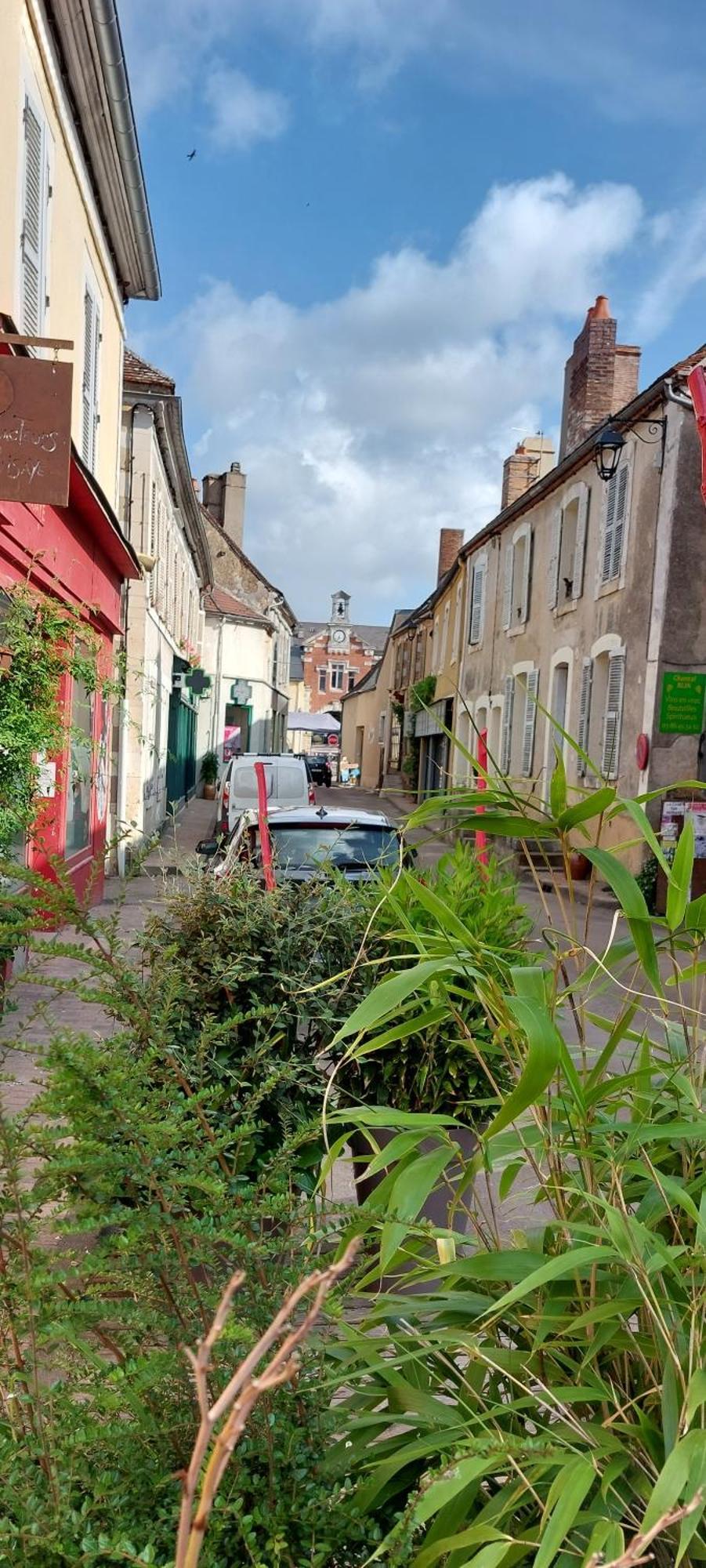 Sur Les Ailes Du Papillon-La Suite Saint-Sauveur-en-Puisaye Eksteriør billede